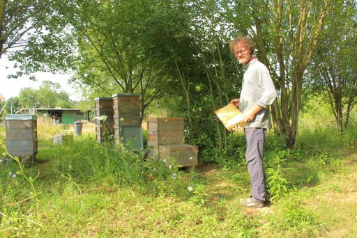 Bild: eingemottete Bienen