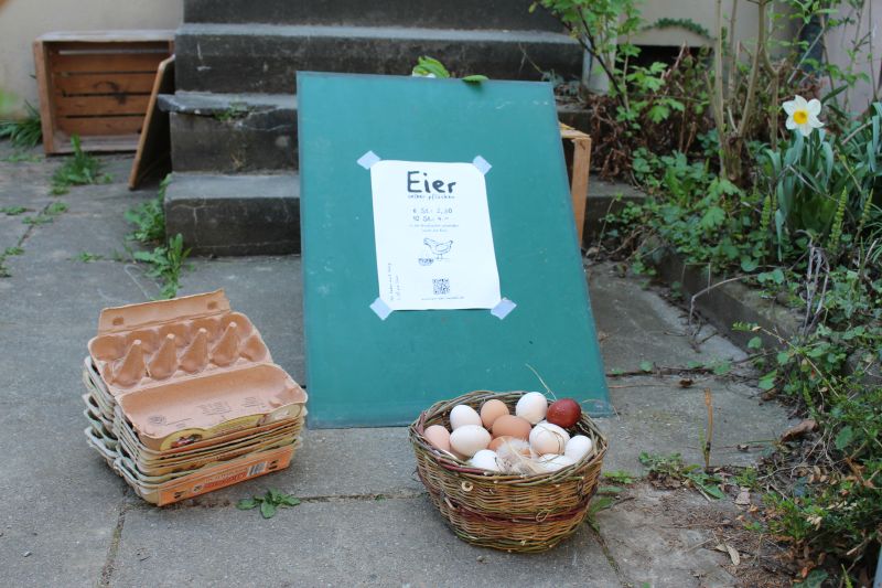 Bild: Eier-Verkauf in der Villa Sonnenschein